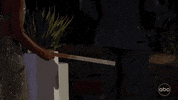 Michelle GIF by The Bachelorette
