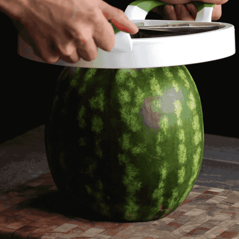 polonaluna giphyupload GIF