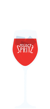 Drink Cheers Sticker by SelectAperitivo