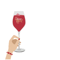 Drink Cheers Sticker by SelectAperitivo