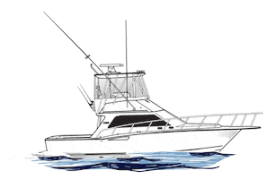 Mexico Boat Sticker by Put Me Outside