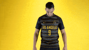 Cal State La Soccer GIF by Cal State LA Golden Eagles