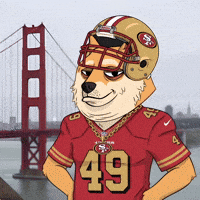 Digital Art Football GIF by Doge Pound