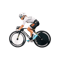 Cycling Lux Sticker by SeaSucker