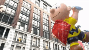 macysparade GIF by The 91st Annual Macy’s Thanksgiving Day Parade