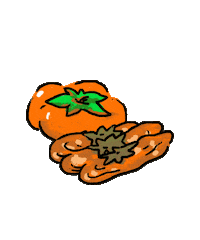 knopfbooks persimmon booktok japanese breakfast knopf Sticker