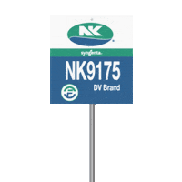 nkseeds_us corn harvest nk yield Sticker