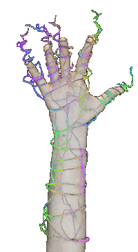 Sticker by Sarah Zucker