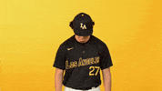 Cal State La Sport GIF by Cal State LA Golden Eagles