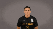 Division Ii Soccer GIF by Cal State LA Golden Eagles