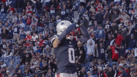 Football Nfl GIF by New England Patriots