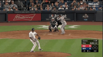 Yankees GIF by Jomboy Media