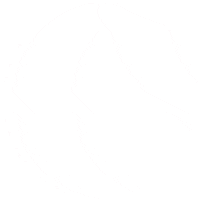 Caritas Sticker by caritasargentina