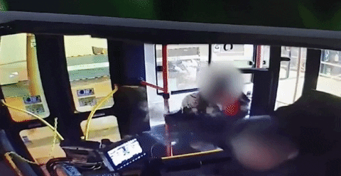 insight_yj giphygifmaker GIF