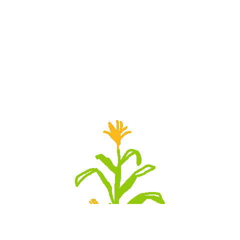 ilcorn giphygifmaker corn farming illinois Sticker