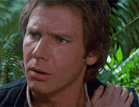 Desc GIF