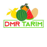 Dmr Tarim Sticker by AFC TARIM