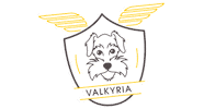 fly lalibertaddevolar Sticker by Flybondi