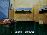 nicksplat GIF