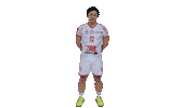 ksnorwidczestochowa norwidvolleyball norwid norwidvolleyballclub norwidczestochowa Sticker