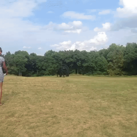 GIF by Tiffany