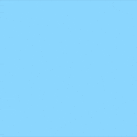 Labor Day Bear GIF by Jessica Lau