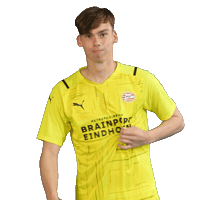Football Celebrate Sticker by PSV