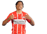Football Celebrate Sticker by PSV