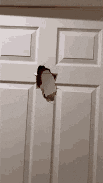 Break Door GIF