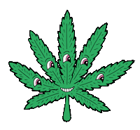 Mor Hqbarcelona Sticker by venyason