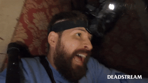 Oh No Wtf GIF by Deadstream