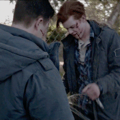 season 5 GIF
