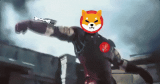 Shiba GIF by SHIB MEMES