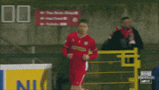 Celebration Jump For Joy GIF by Cliftonville Football Club