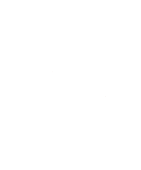 spiderpride urichmond Sticker by University of Richmond