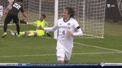 Huskies GIF by Washington Athletics