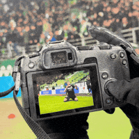 etofcofficial eto etofc etofcgyőr etoteam GIF