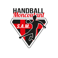 Allez Le Sam Sticker by SAM Handball Moncoutant