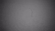 GIF by Marvel Contest of Champions