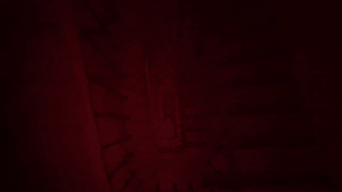 johnrohek giphygifmaker music video down stairs GIF