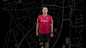 Svs1916 GIF by SV Sandhausen