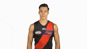 essendonfc bombers dons essendon essendon fc GIF