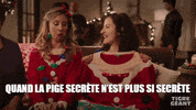 GiantTigerStore tigre geant tigregeant GIF