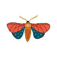 lunadannemannn butterflies mariposas lunadannemann luna dannemann Sticker