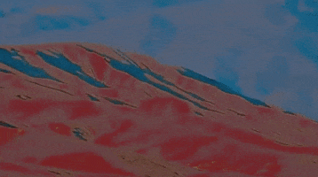 GIF by Alexandra Savior