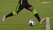 Football Sport GIF by VfL Wolfsburg