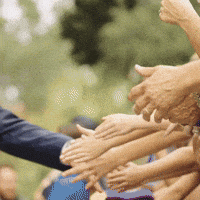 College Football GIF by LSU Tigers