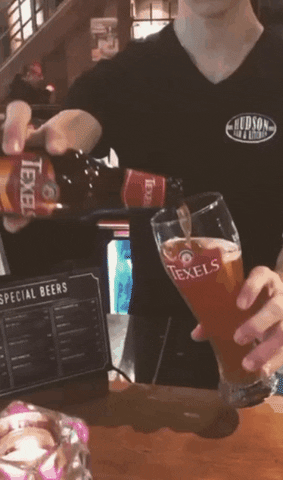 Hudsonalmere beer hudson skuumkoppe GIF