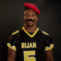 Atlanta Falcons Football GIF by Bijan Mustardson