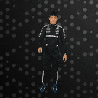 Formula One No GIF by Mercedes-AMG Petronas Formula One Team